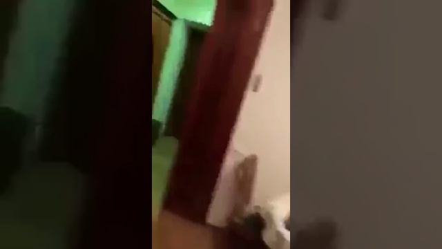 Следователь НАБУ зачитывает подозрение Насирову смотреть онлайн