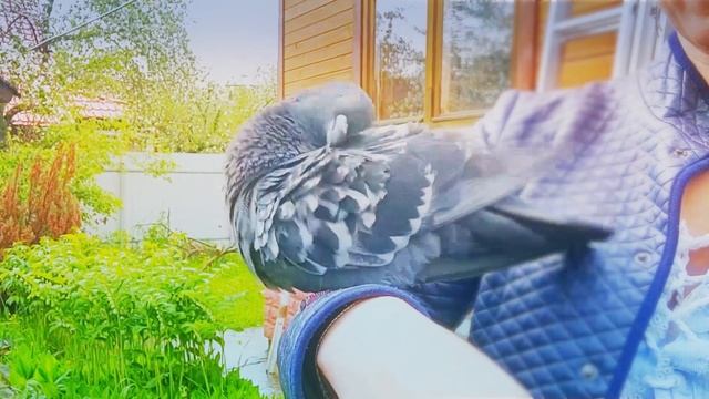 Анастасия. Весна на даче смотреть онлайн