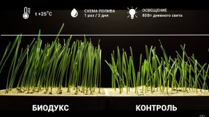 Презентационный фильм. Компания «BIONOVATIC» (2017 г.)