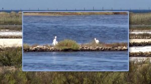 Saline di Tarquinia - Un giardino di acqua