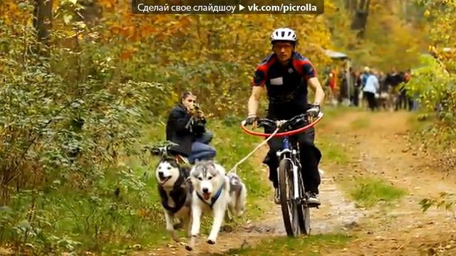 Осенний кубок ФЕСУ - Драйленд 2012 смотреть онлайн