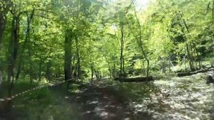 Гонка Эндуро Горячий Ключ  Первый опыт10м из39