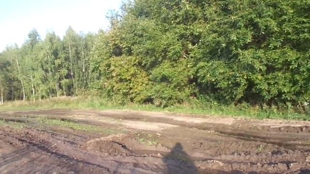 Когда поспевает КУКУРУЗА  !!!