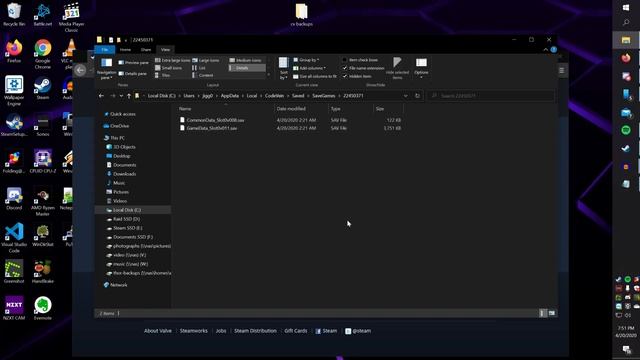 Fixing Code Vein Save Files