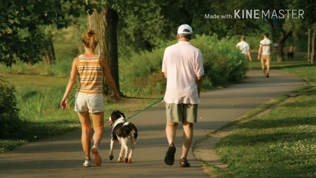 Чего нельзя делать сразу после еды смотреть онлайн