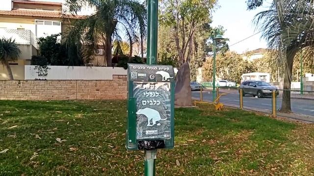 ПЕТАХ-ТИКВА/сквер с котиками/в преддверии праздника ПУРИМ/5 марта смотреть онлайн