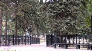 Песня "Август"