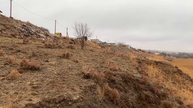 Говорит и показывает верблюжий остров.Электропастух плюсы и минусы.