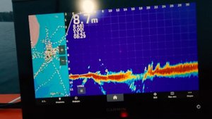 Panoptix LiveScope тут НЕ ПОМОЖЕТ. Рыбалка в ноябре 2023