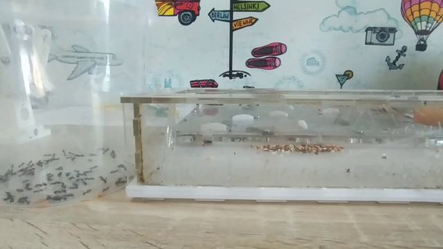 Уборка у жнецов. смотреть онлайн