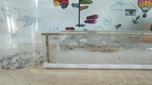 Уборка у жнецов.