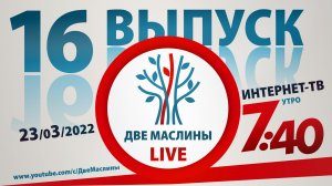 Выпуск #16 | Две маслины live | Почему Израиль,  Евреи о христианах, "Ты мой", Диалог Ретро.