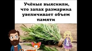 ПРИКОЛЫ! ХЭЛЛОУИН И ЖИВАЯ ТЫКВА!!! Угарные МЕМЫ, смешные истории от Доми шоу!