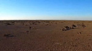 Засуха в России (2020). Краснодарское водохранилище пересохло. Братские могилы под водой. Мор рыбы.