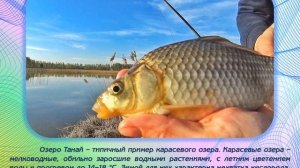 Озеро Танай (12+)