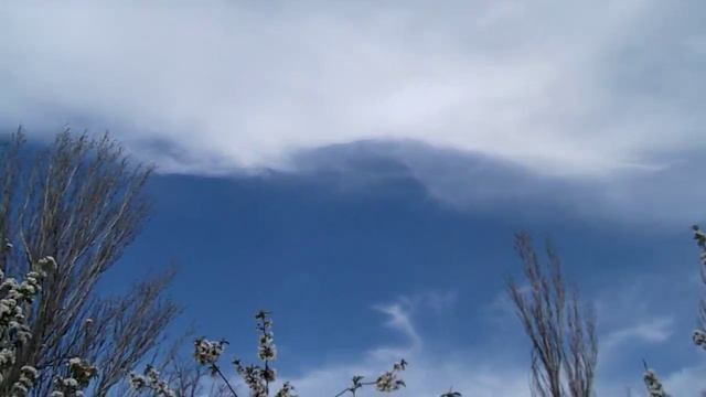 Природа и Красота весеннего цветения Вишни! смотреть онлайн