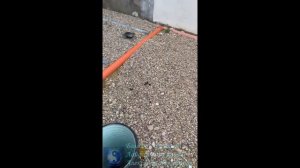 Лайфхак. Дренаж участка в действии.