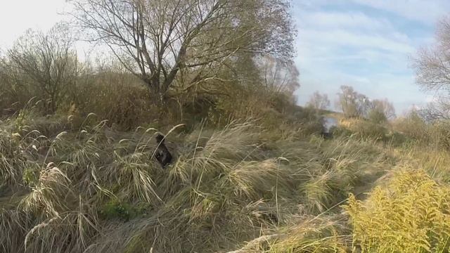 подняли стаи уток смотреть онлайн