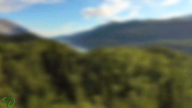 ВОССТАНОВЛЕНИЕ НЕРВНОЙ СИСТЕМЫ 🌿 Нежная музыка, успокаивает нервную систему и радует душу #21 смотреть онлайн