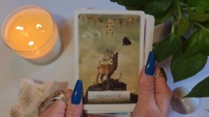 Wisdom of the Oracle ? Divination Cards Colette Baron Reid Review #oracle #tarot