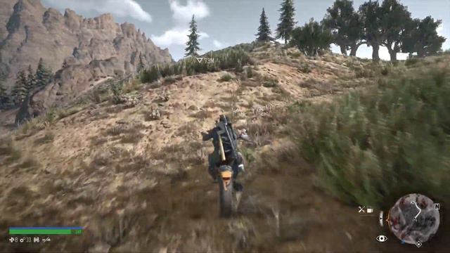 ►#20 ГОРНАЯ ЛАВАНДА И СОФИЯ РОТАРУ ►DAYS GONE ►PS 5 смотреть онлайн