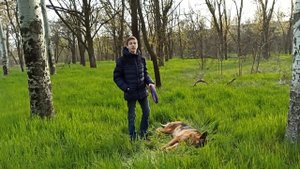Как научить собаку команде Дай. Дрессировка собак. Команда "Дай"