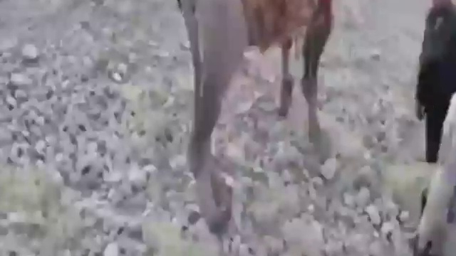не хочу в армию