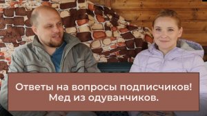 Дача №9 Ответы на вопросы подписчиков, мед из одуванчиков