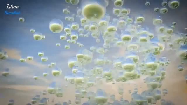 Аллах даст вам знать о скорой смерти! Эмоционально! | Шейх Хасан Али смотреть онлайн