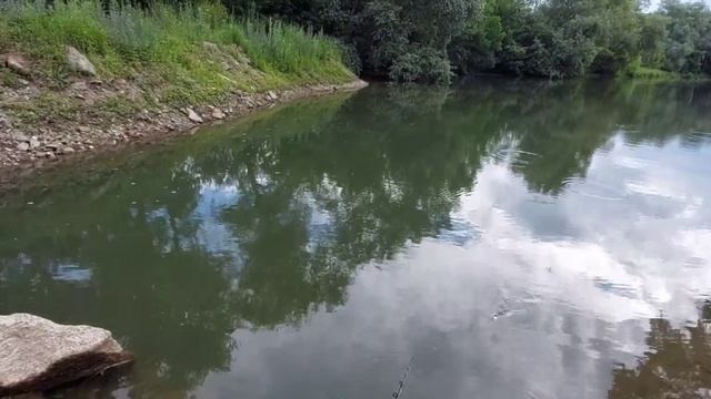 Рыбалка в черте Усть-Каменогорска июнь 2022 смотреть онлайн