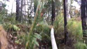 Эжектор -Гидроэлеваторного типа Deepsees-3”