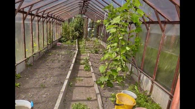 SAD DACHA 01 смотреть онлайн