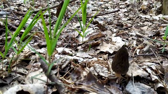 СМоРчКи не заканчиваются ? смотреть онлайн