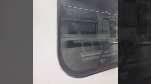 проспект славы Купчино московская