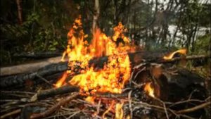 Поздравляю с Днем туризма День туризма Туристы