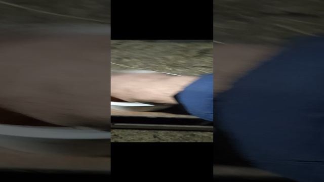 23 октября сбор яиц