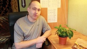 Кофейное дерево из семян мой опыт.  Коричневые листья как лечить