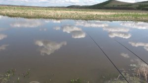 Сыда. Первый день лета...