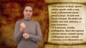 Руфь 2 глава