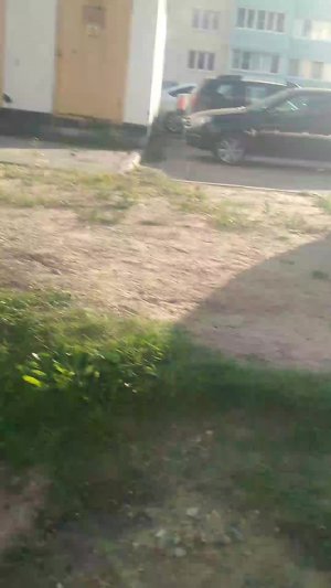 Я показываю двор