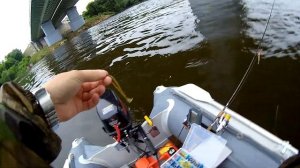 Судак 3.4кг! на отводной поводок и ловля на джиг.