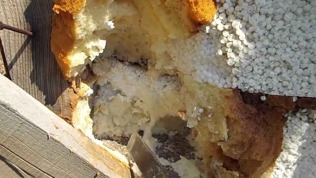 КАРКАСНИК + ПЕНОПЛАСТ / 4-х летний эксперимент / Вскрыл стены,а там .... смотреть онлайн