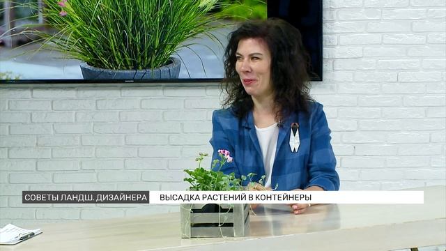 Советы дизайнера: создаем сад на балконе смотреть онлайн