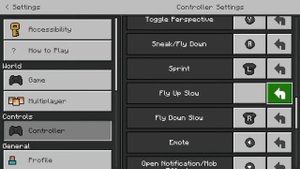 Nintendo Switch Settings and Controls! (Minecraft)
