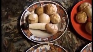 Как приготовить настойку из гриба Веселка