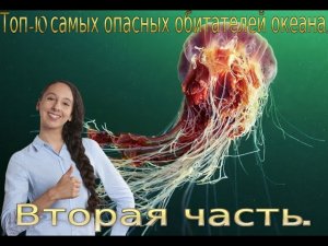 Интересные истории и факты про животных.