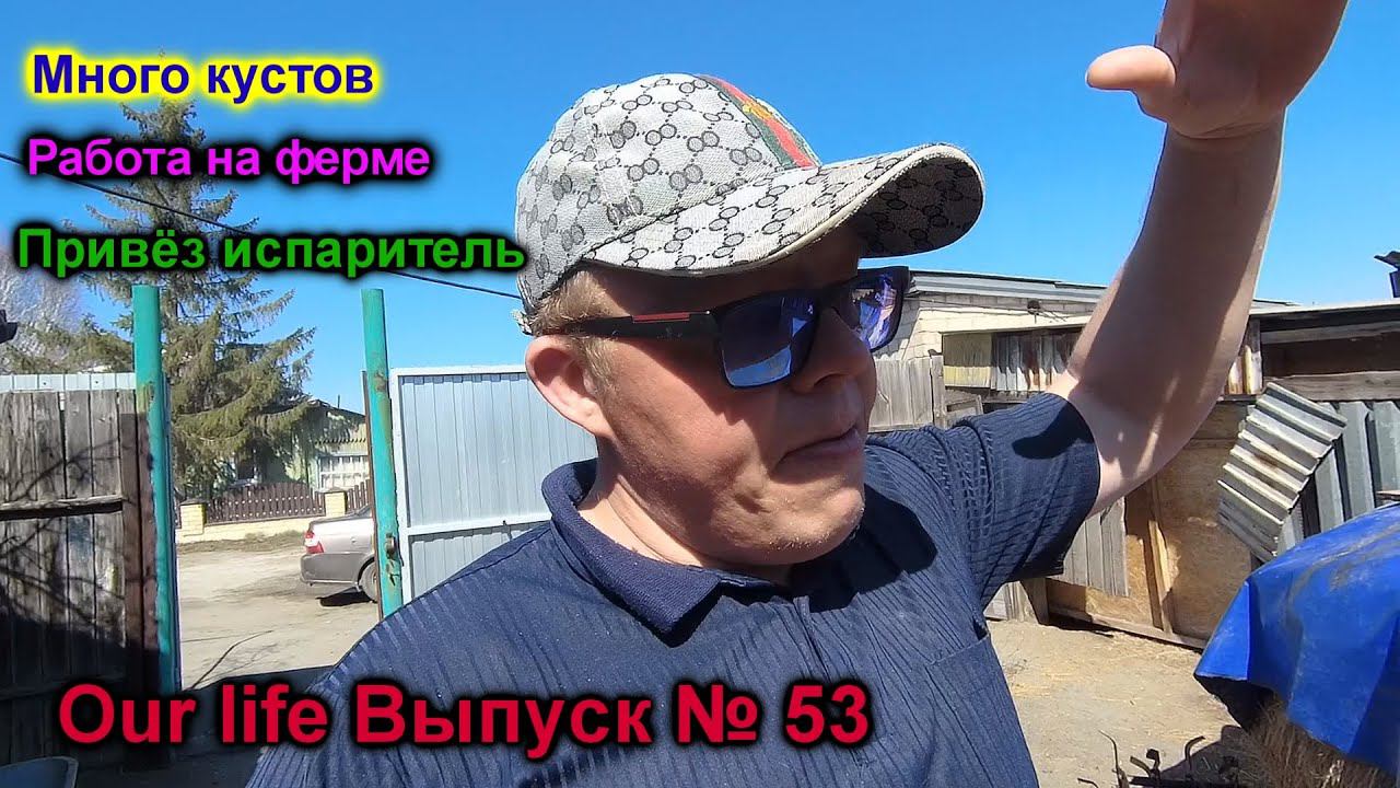 Побеждаем кусты  Работа на ферме  Привёз испаритель  Our life Выпуск № 53