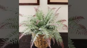 Artificial Boston Fern Dusty Finish Indoor Outdoor