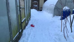 ?Заключительный VLOG 2022 ?Предновогодняя суета? Недельный отчет!❤️