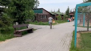 СОТРУДНИК ЗООПАРКА ВЕДЕТ ФЛАМИНГО В ПРУД, ПОСЛЕ ПЕРЕДЕРЖКИ НА КАРАНТИНЕ
